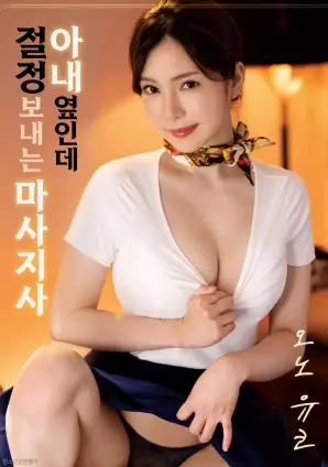 逆风折叠电影海报